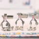Bernina 580 Liberty Edition sewing & embroidery machine